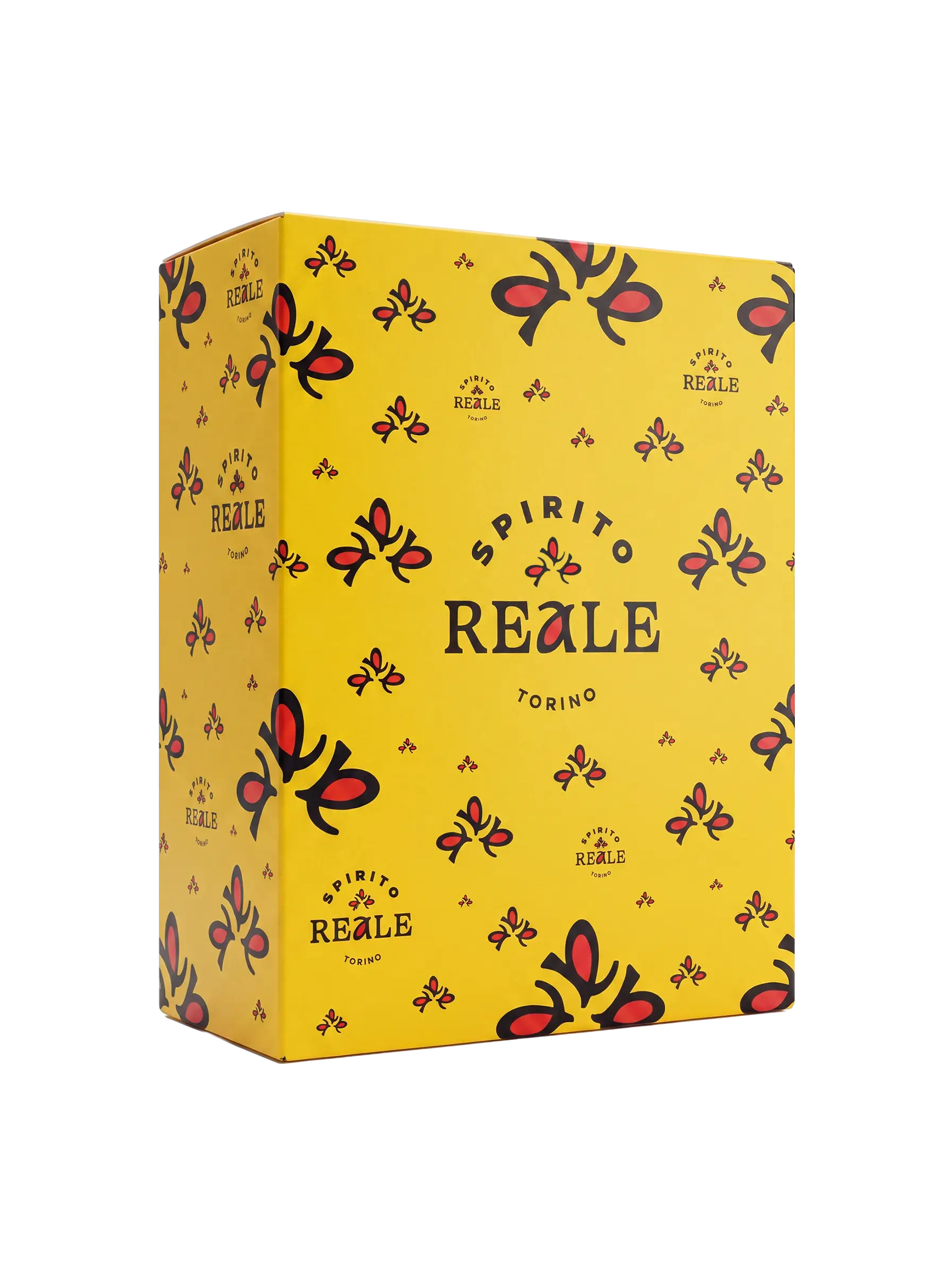 Confezione 2 bottiglie 500 ml