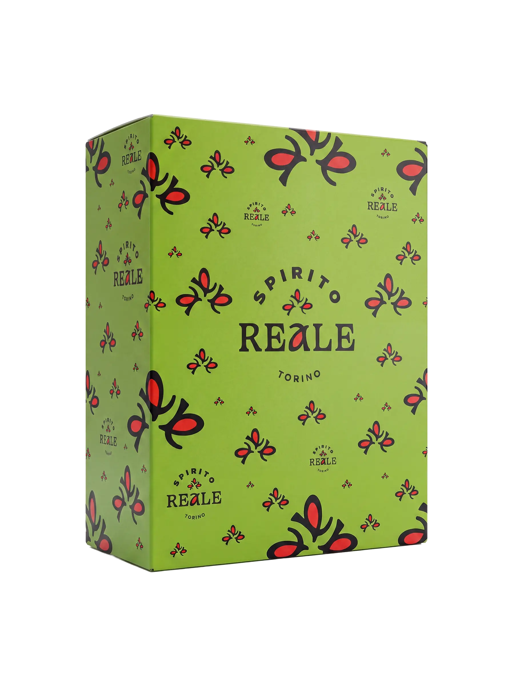 Confezione 2 bottiglie 500 ml