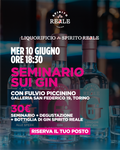 SEMINARIO SUI GIN CON FULVIO PICCININO