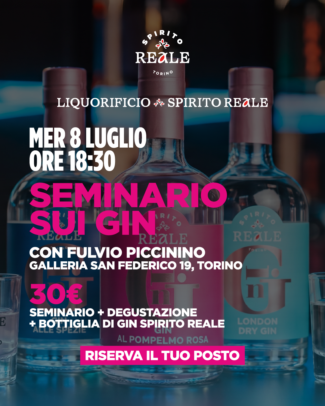 SEMINARIO SUI GIN CON FULVIO PICCININO